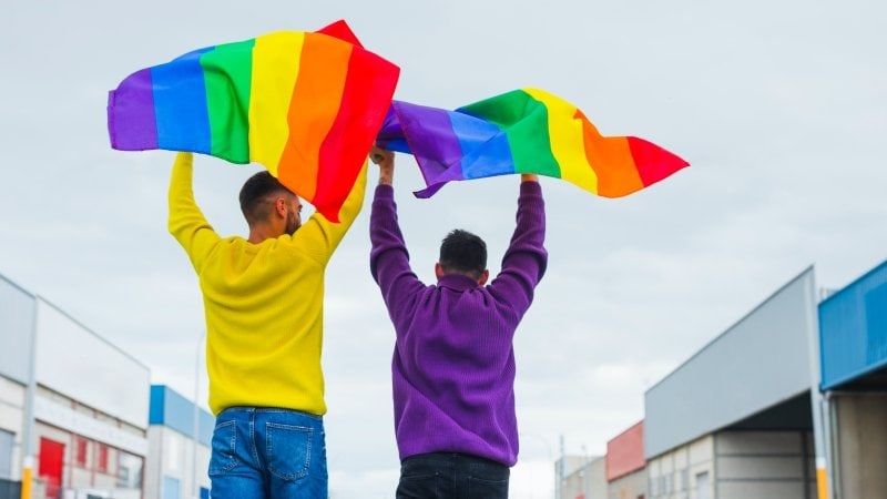 A Luta pelos Direitos LGBT no Brasil